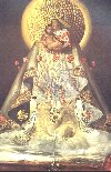 The Virgin of Guadelupe