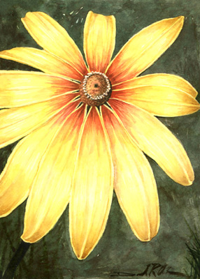 WATERCOLOR