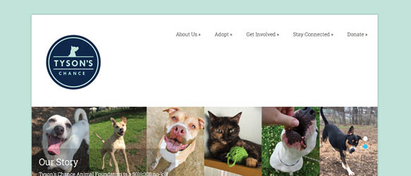 digital design sample
