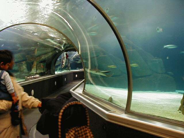 aquarium