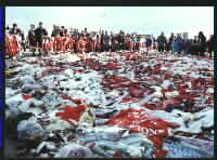 Old Trafford.