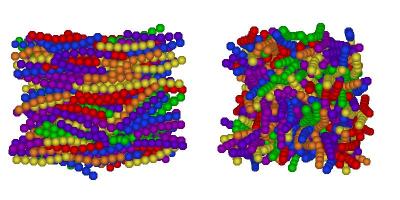 A uniaxial Nematic phase