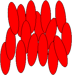 The nematic phase