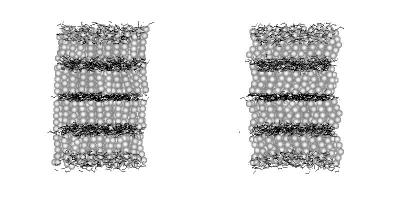 A black and white snapshot representation of the final configuration