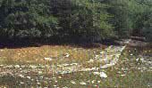 Campas de Urbia
