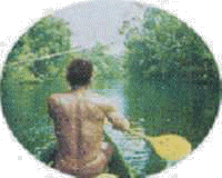 navegante