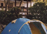 Camping degli Ulivi a Marina di Campo