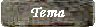 un tema su internet