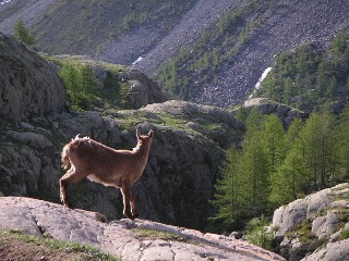 Lato nord della Baisse de Valmasque