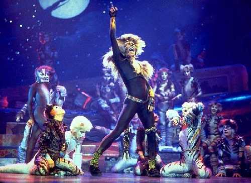 Jellicle Band