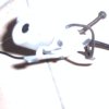 webcammodif_icon.jpg