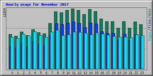 Hourly usage for November 2017