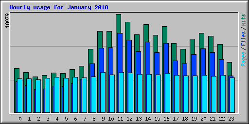 Hourly usage for January 2018