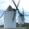 Windmills of Alc�zar de San Juan
