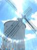 Windmills of Alc�zar de San Juan