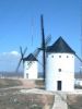 Windmills of Alc�zar de San Juan