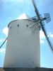 Windmills of Alc�zar de San Juan