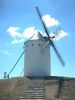 Windmills of Alc�zar de San Juan