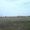Paisaje de la Alameda de Cervera