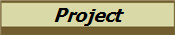 Project