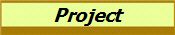 Project
