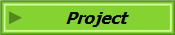Project