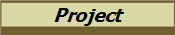 Project