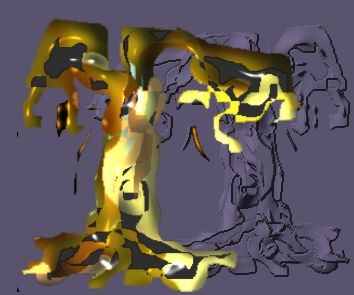 arbol.jpg (19739 bytes)