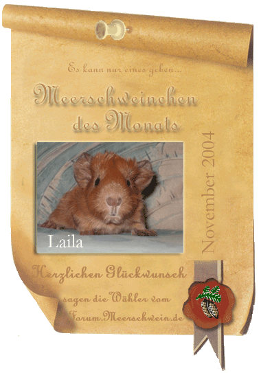 Dieser Award wurde gestaltet von www.Lispet.de! Vielen Dank!!!