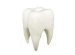 Our healthy teeth. Dental care.