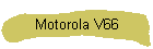 Motorola V66