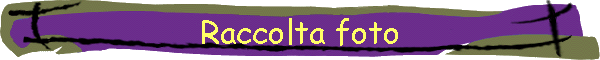 Raccolta foto