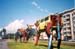 vacas