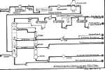 ref98.jpg (41017 bytes)