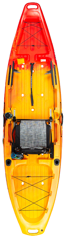 jacksonBite-220xb.jpg