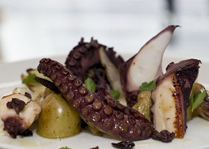 octopus