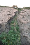Gully eroded into loose volcanic deposits, Mount St. Helens, Washington