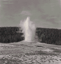 Photograph of Old Faithful, Yellowstone National Park