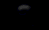 cova.gif (15858 bytes)