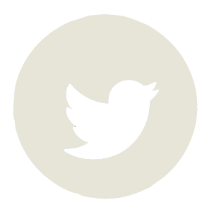 tweeter icon