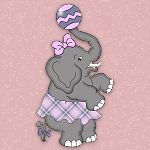 Miss Elephant