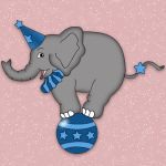 Mr. Elephant