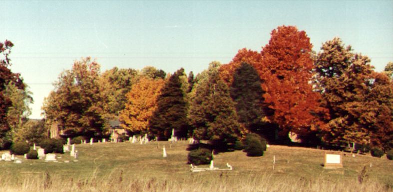 Text Version