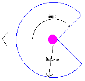 Graphic depicting the range of near neigbhours a boid considers