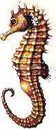 img5.gif