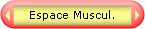 Espace Musculation