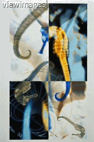 img10.gif