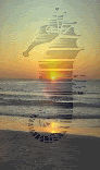 img6.gif