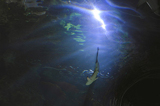 Depths