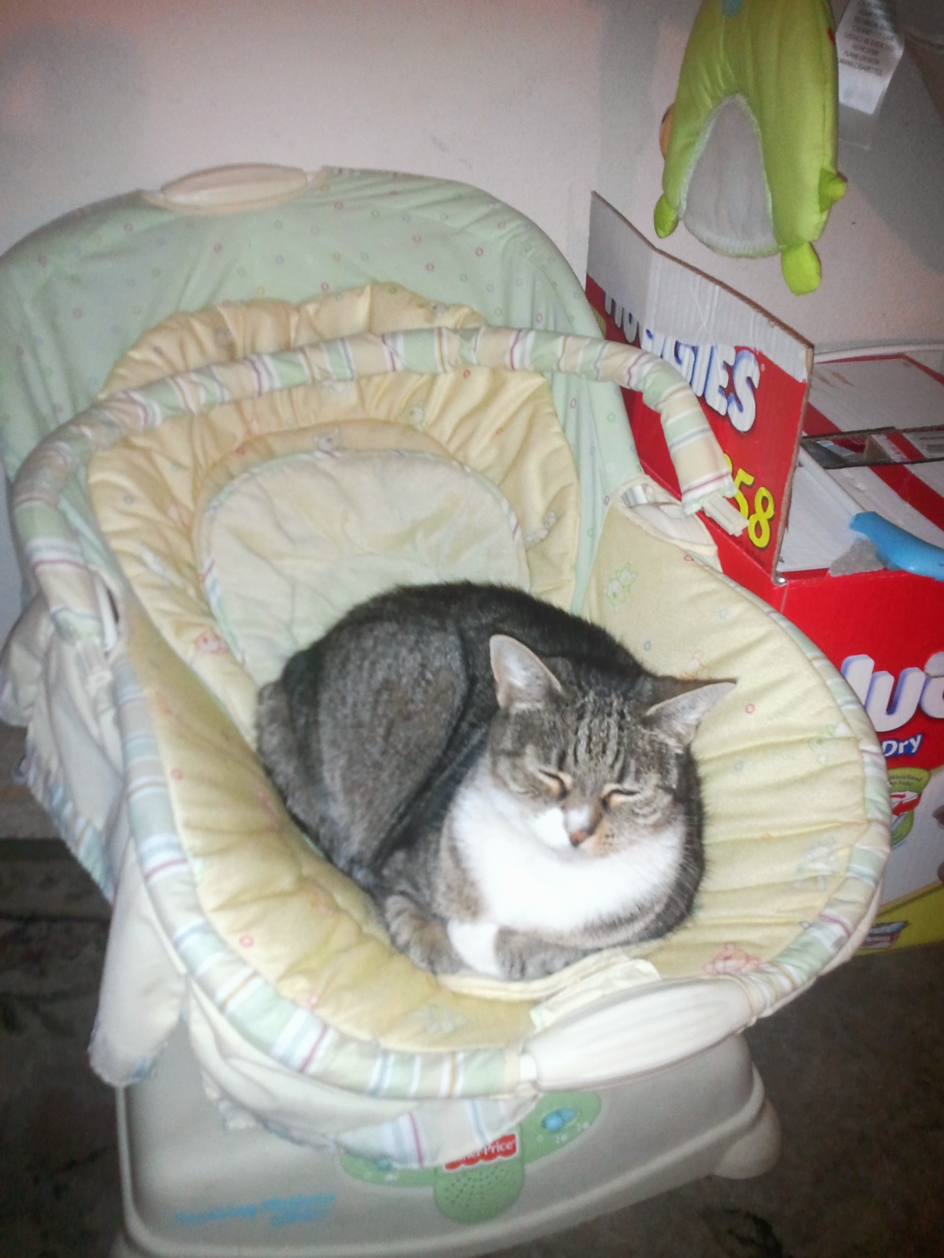 Pretty in the Rocker